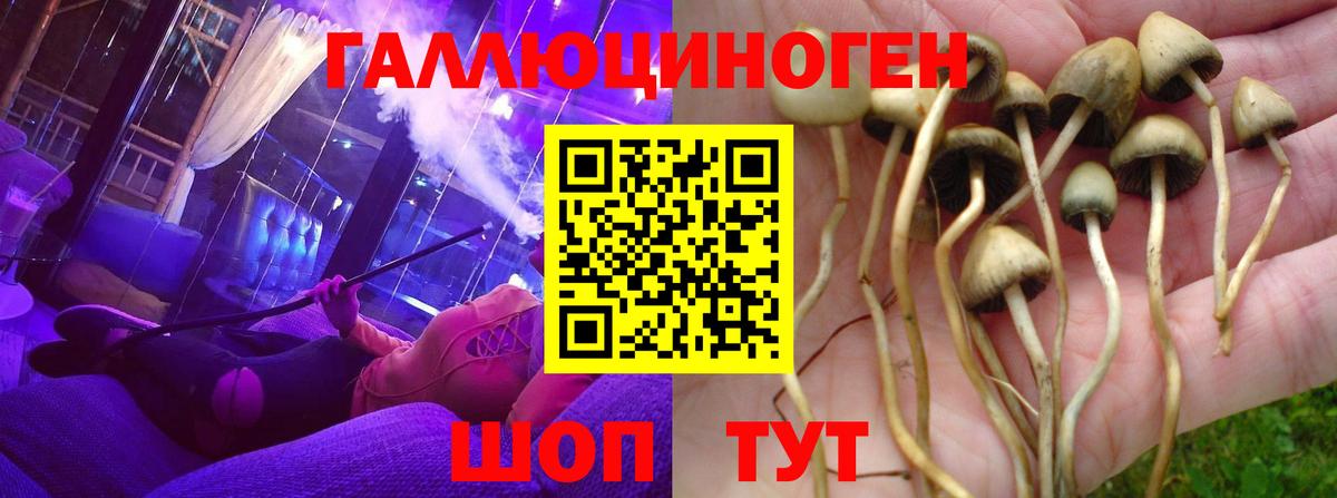 Псилоцибиновые грибы ЛСД Карачаевск