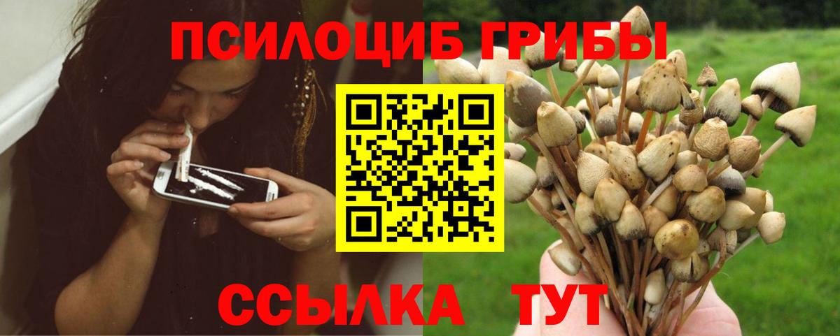 Галлюциногенные грибы GOLDEN TEACHER  Вход с VPN  Карачаевск  Псилоцибиновые грибы мухоморы 